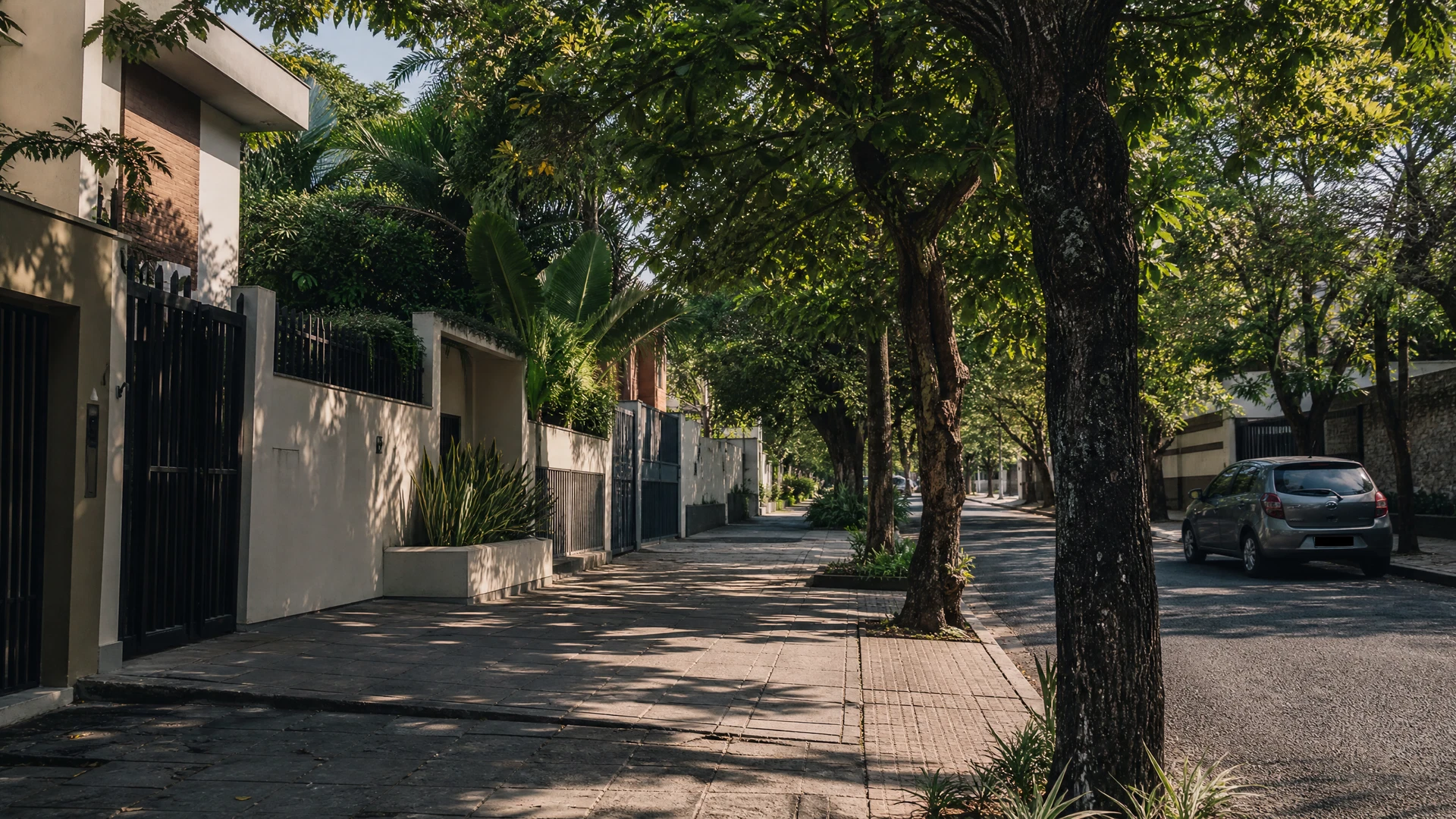 Couple walking through a leafy residential neighbourhood in Asunción